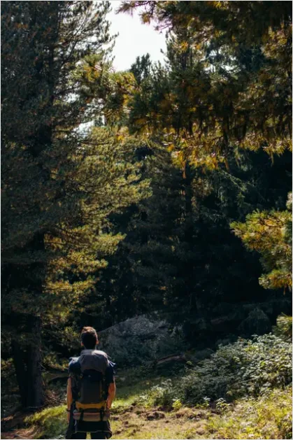Detail Backpacker Hiking Trail Portrait Outdoors Number 10