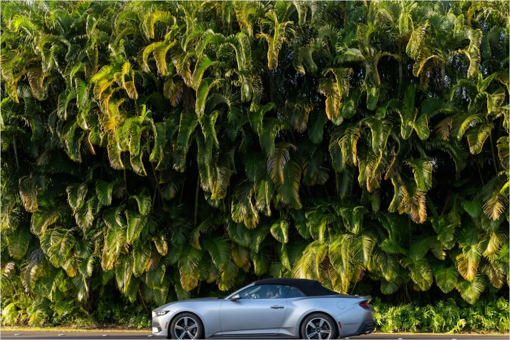 Detail Convertible Car Coastal Road Drive Number 3