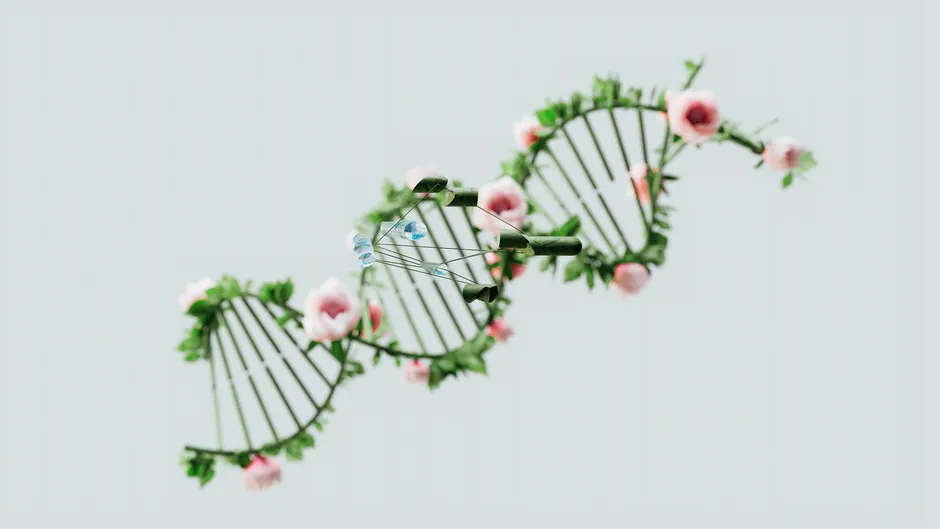 Detail Crisper Gene Editing Concept Dna Scissors Number 8
