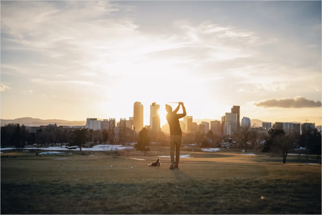 Detail Denver City Skyline Mountain Backdrop Number 2