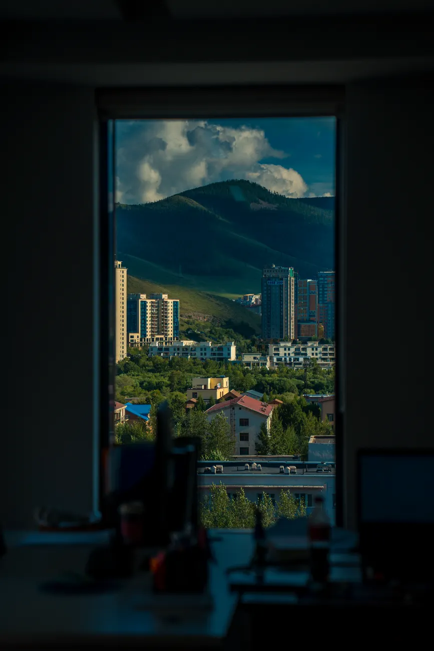 Detail Denver City Skyline Mountain Backdrop Number 11