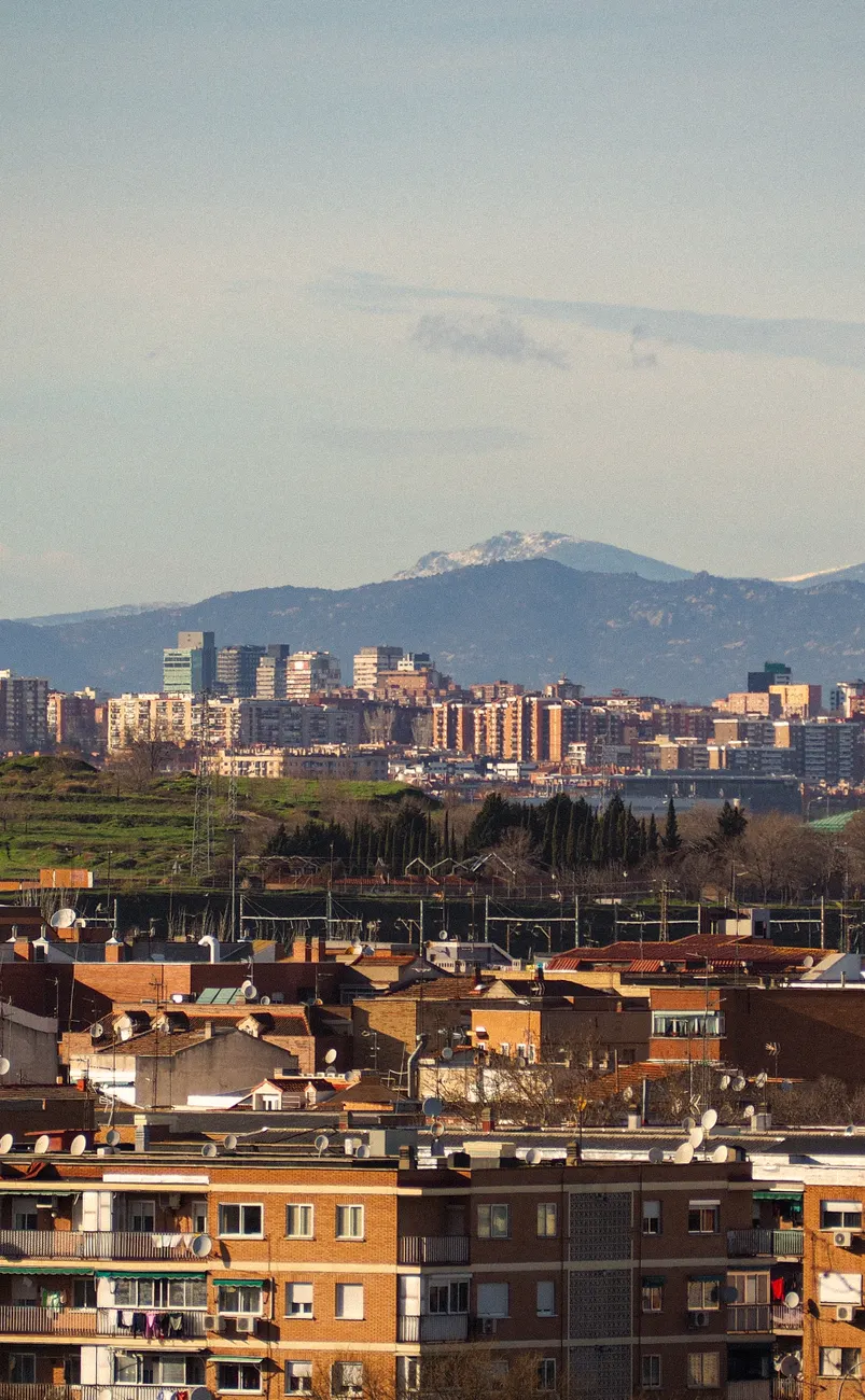 Detail Denver City Skyline Mountain Backdrop Number 15