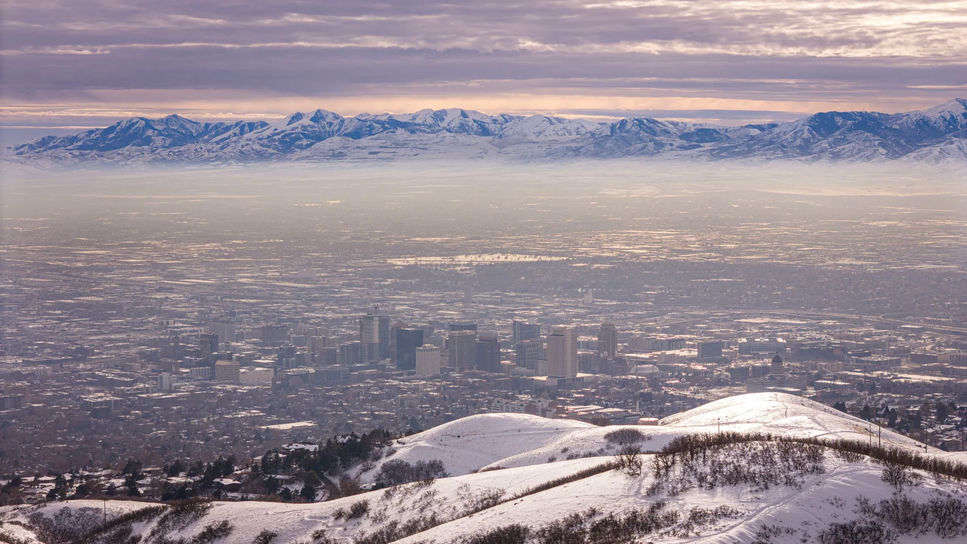Detail Denver City Skyline Mountain Backdrop Number 3