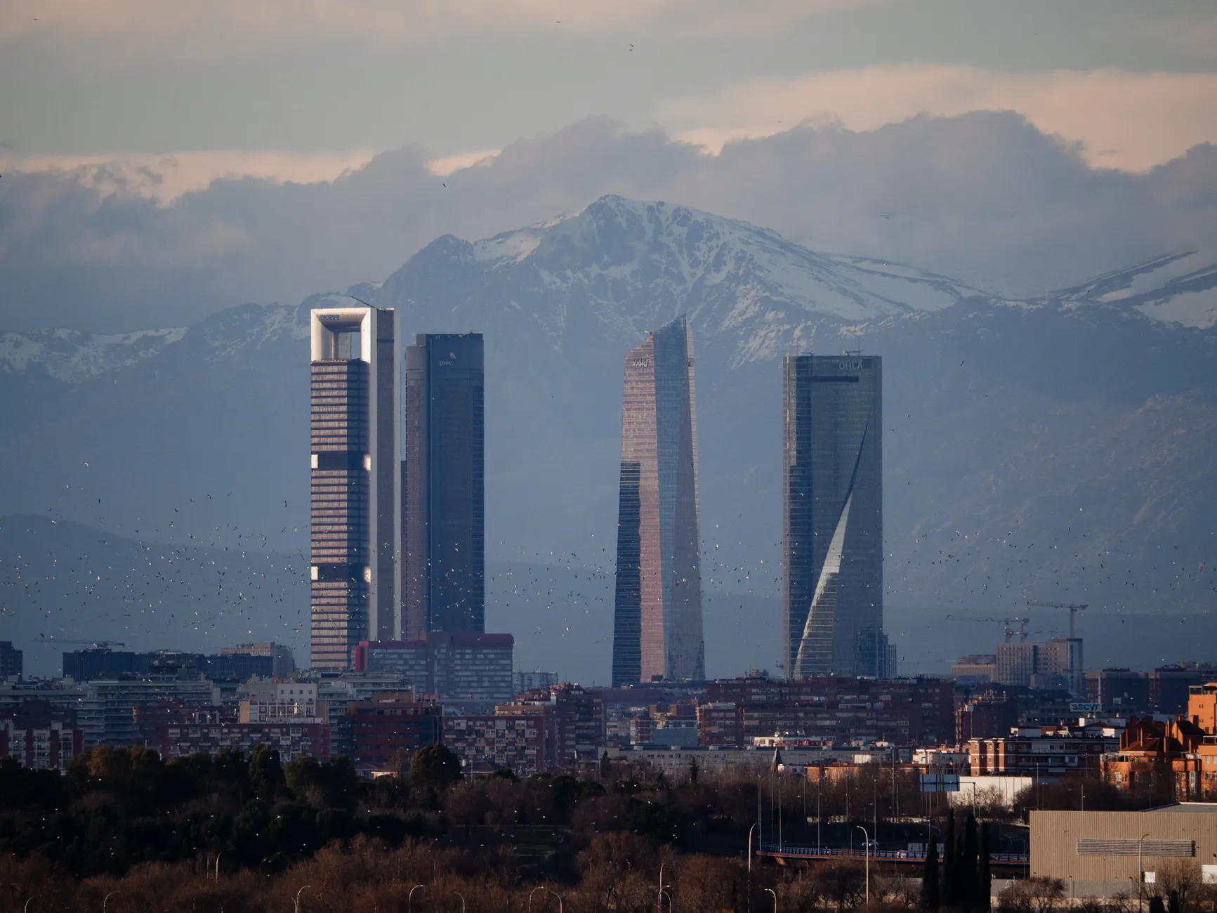 Detail Denver City Skyline Mountain Backdrop Number 21