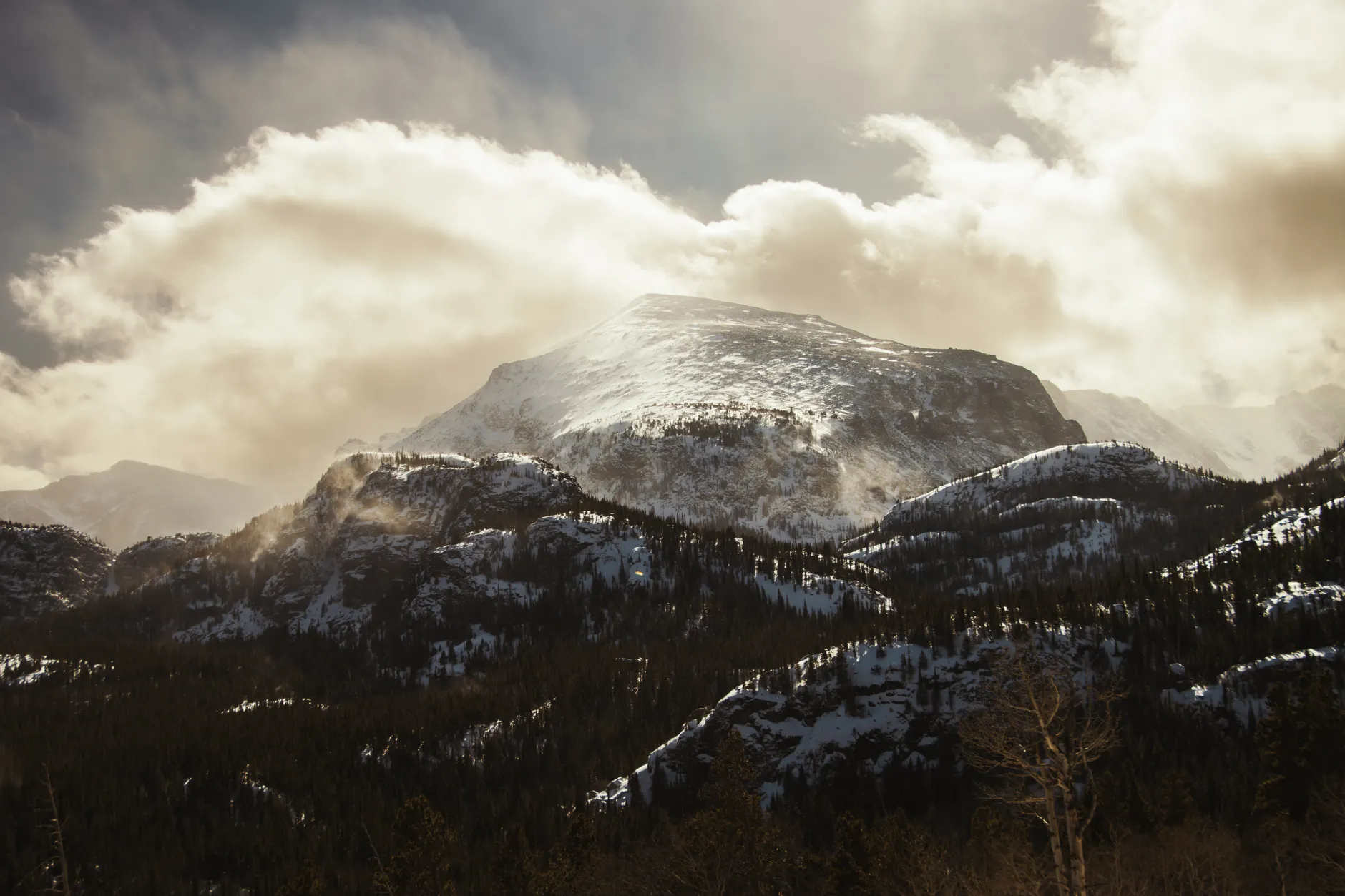 Detail Denver City Skyline Mountain Backdrop Number 7