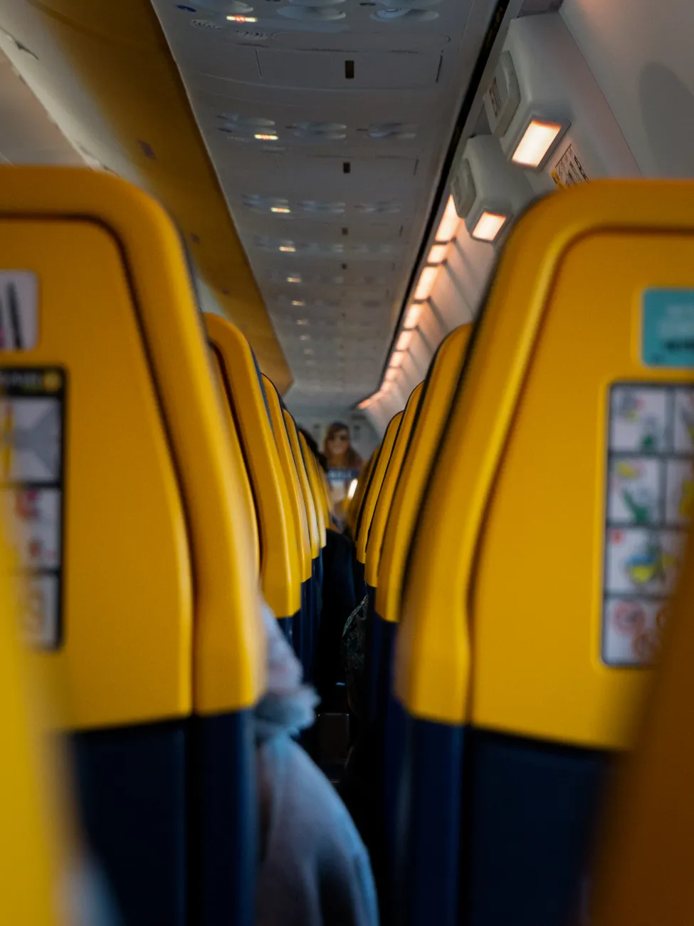 Detail Economy Cabin Airplane Seat Row Number 14