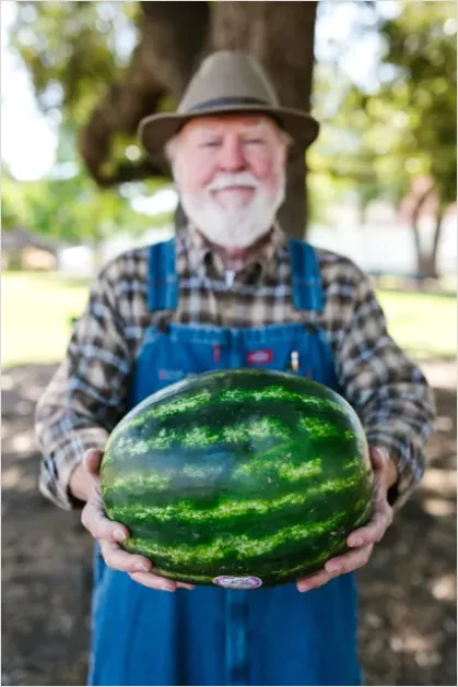 Detail Farmer Holding Fresh Produce Portrait Number 2