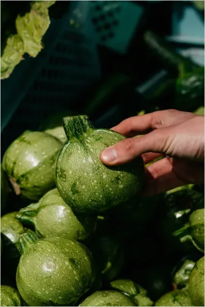 Detail Farmer Holding Fresh Produce Portrait Number 11