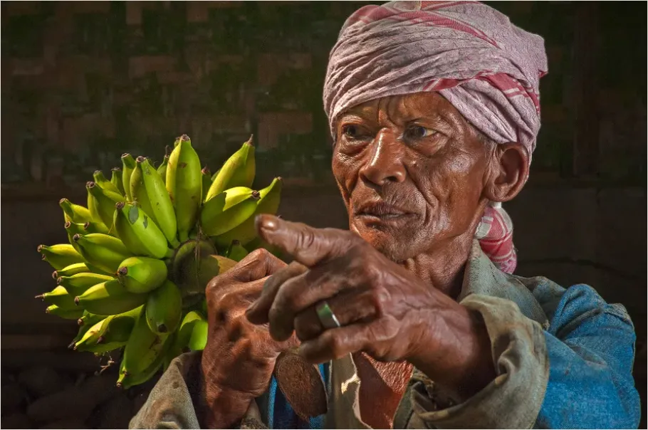 Detail Farmer Holding Fresh Produce Portrait Number 13