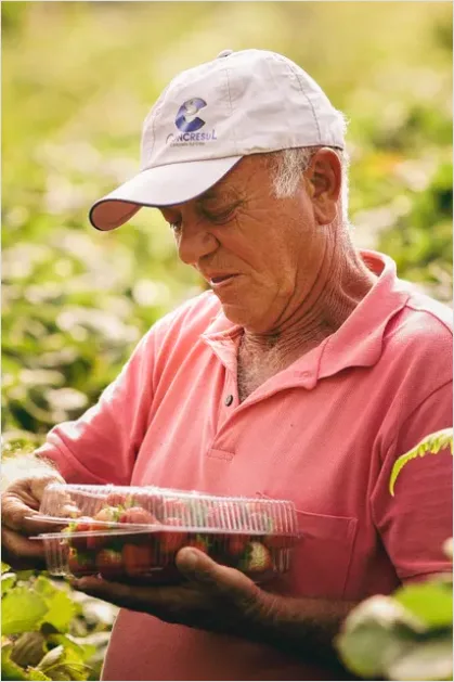 Detail Farmer Holding Fresh Produce Portrait Number 15