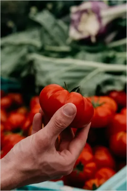 Detail Farmer Holding Fresh Produce Portrait Number 3