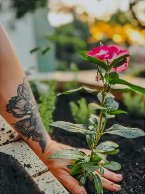 Detail Gardener Planting Flowers Hands Soil Number 12