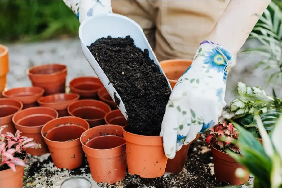 Detail Gardener Planting Flowers Hands Soil Number 13