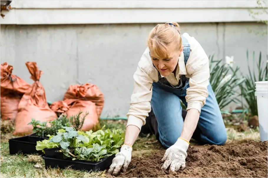 Detail Gardener Planting Flowers Hands Soil Number 15