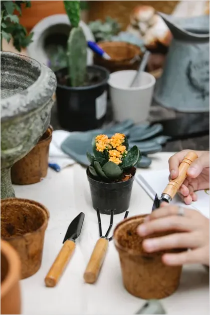 Detail Gardener Planting Flowers Hands Soil Number 16