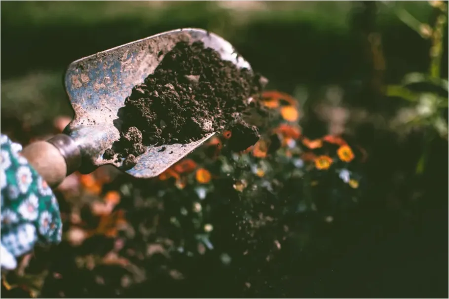 Detail Gardener Planting Flowers Hands Soil Number 4