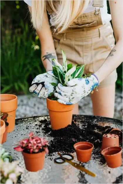 Detail Gardener Planting Flowers Hands Soil Number 10