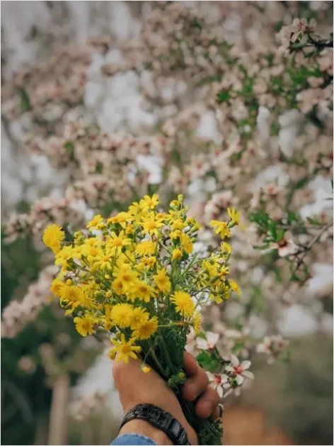 Detail Hands Holding Bouquet Flowers Close Up Number 13