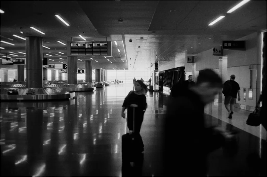 Detail Luggage Carousel Airport Baggage Claim Number 11