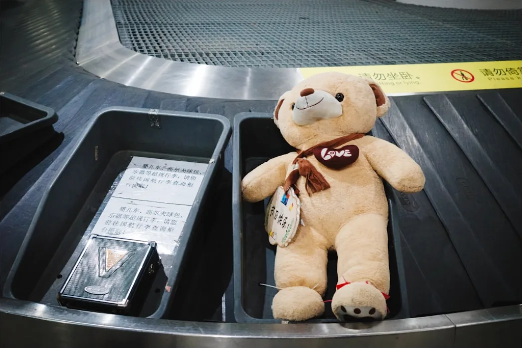 Detail Luggage Carousel Airport Baggage Claim Number 16