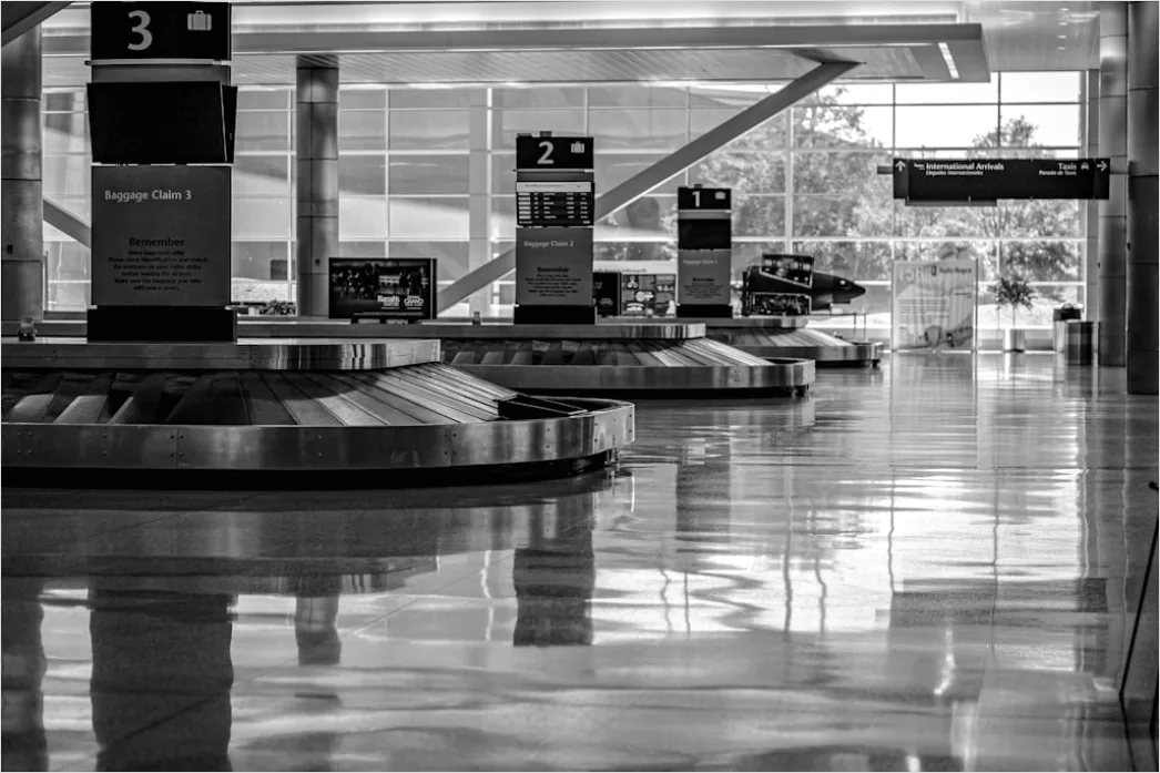 Detail Luggage Carousel Airport Baggage Claim Number 6