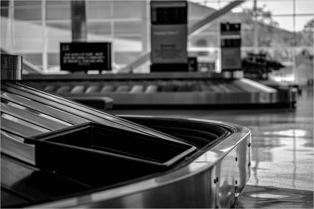 Detail Luggage Carousel Airport Baggage Claim Number 9
