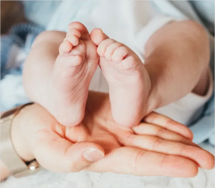 Detail Mother Hands Holding Baby Feet Number 14