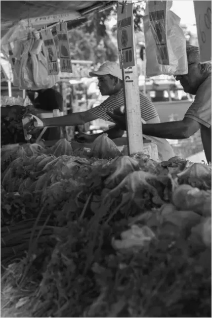 Detail People At Farmers Market Shopping Number 6