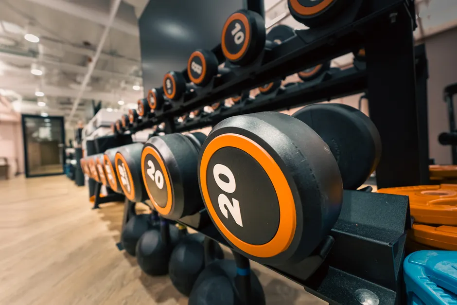 Detail Progressive Overload Training Concept Gym Number 5