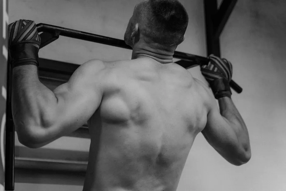 Detail Pull Day Workout Routine Gym Number 12