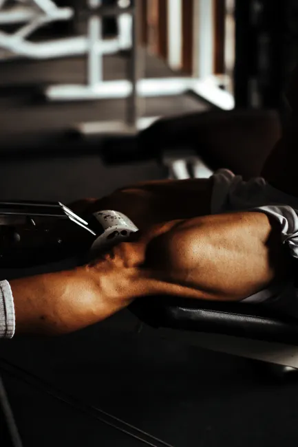 Detail Quad Workout Routine Gym Exercises Number 16