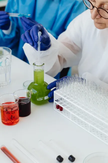 Detail Research Scientist Pipette Liquid Lab Gloves Number 10