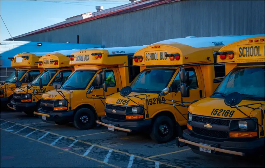 Detail School Bus Kids Boarding Morning Number 14