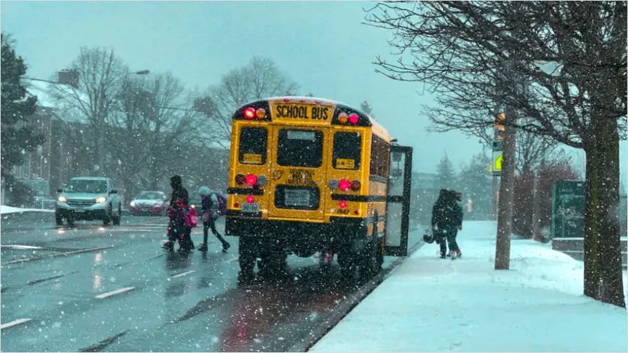 Detail School Bus Kids Boarding Morning Number 10