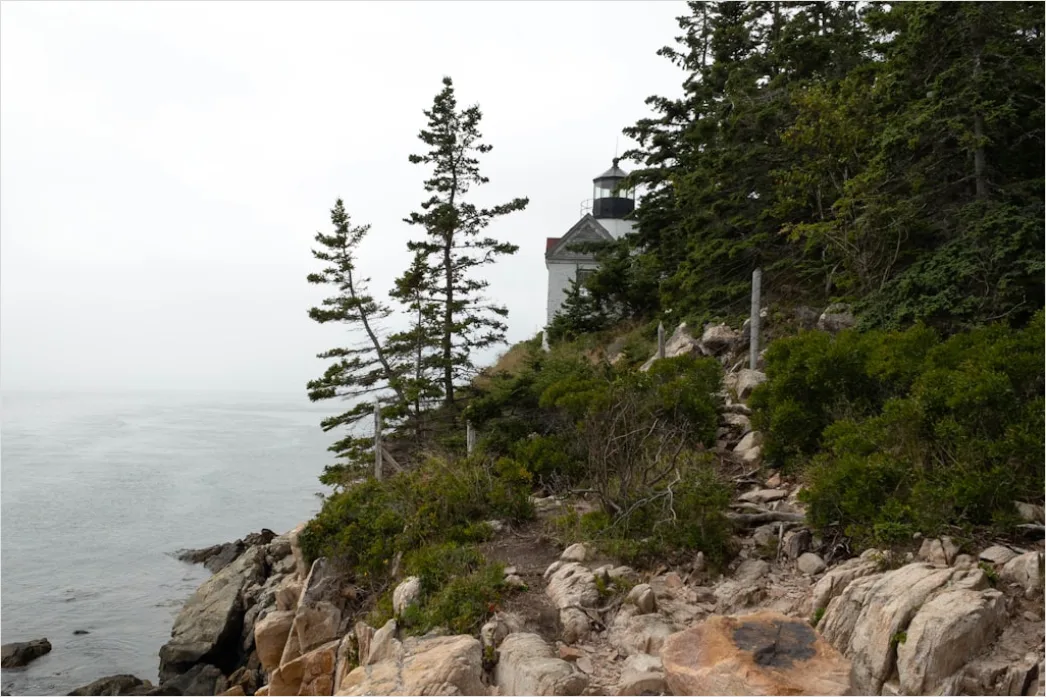 Detail Acadia National Park Rocky Coast Number 2