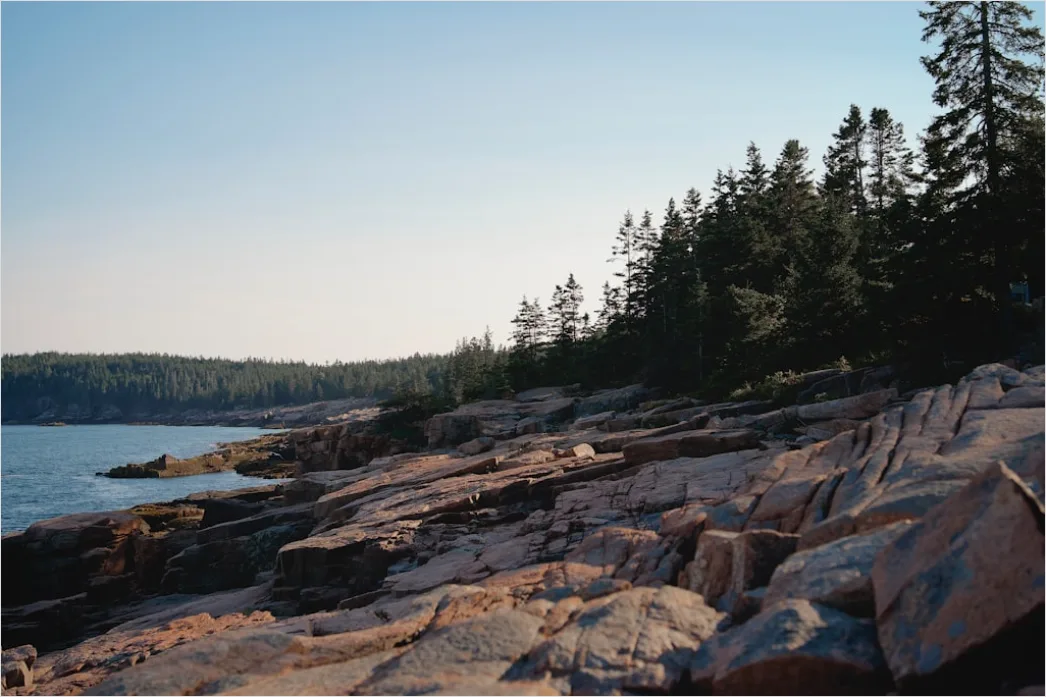 Detail Acadia National Park Rocky Coast Number 13
