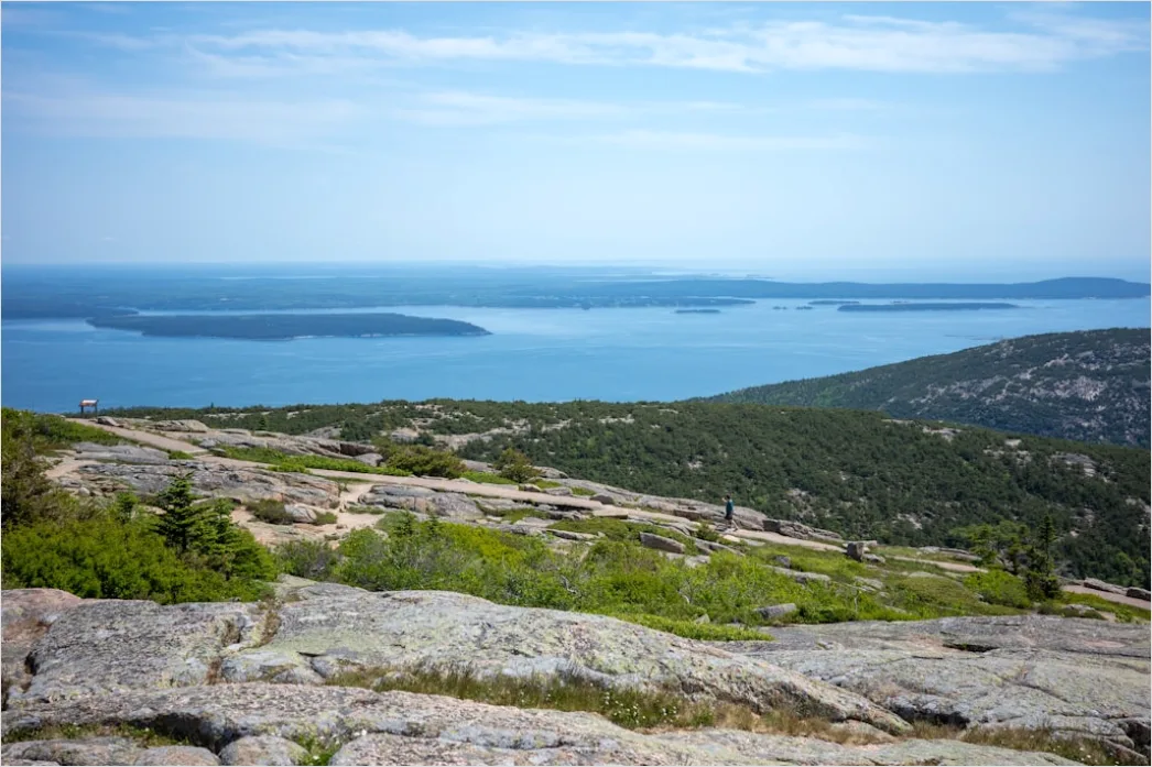 Detail Acadia National Park Rocky Coast Number 14