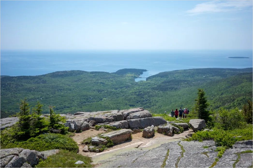 Detail Acadia National Park Rocky Coast Number 15