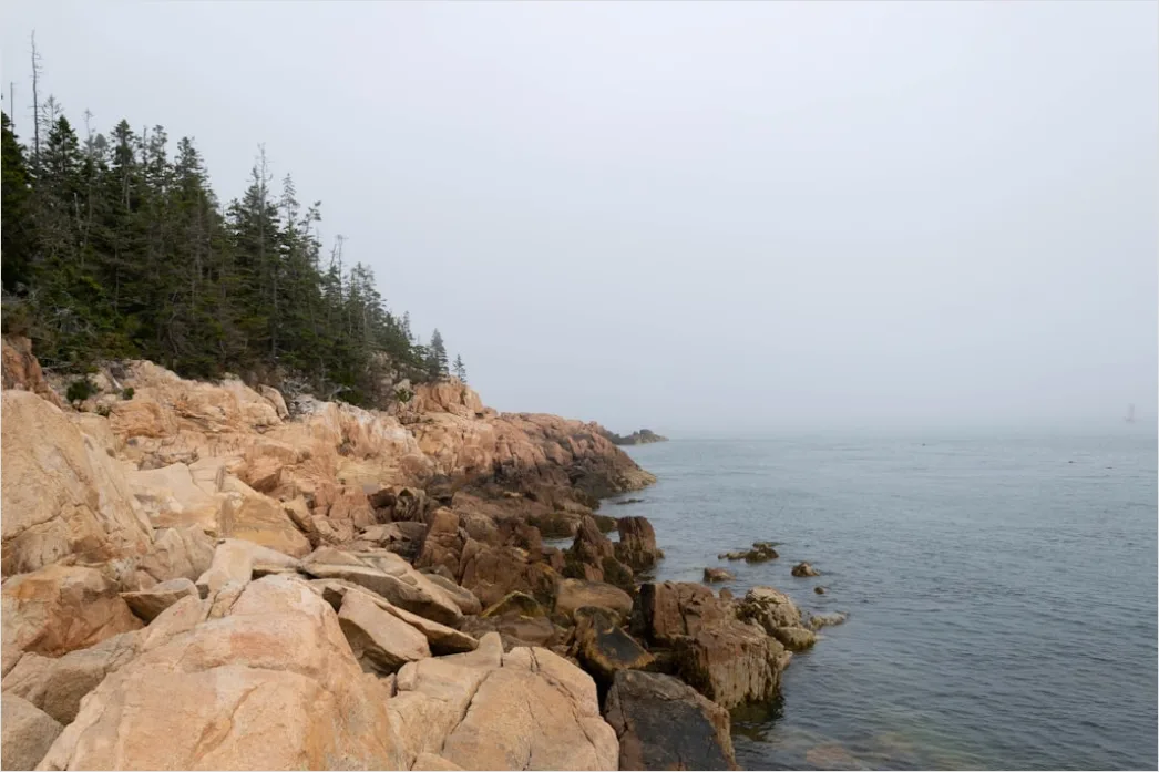 Detail Acadia National Park Rocky Coast Number 3