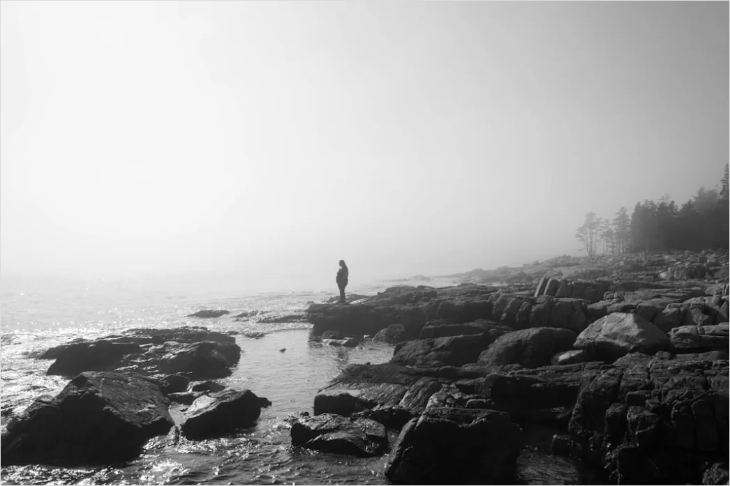 Detail Acadia National Park Rocky Coast Number 4
