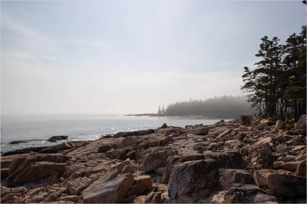 Detail Acadia National Park Rocky Coast Number 5