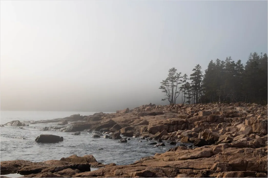 Detail Acadia National Park Rocky Coast Number 6