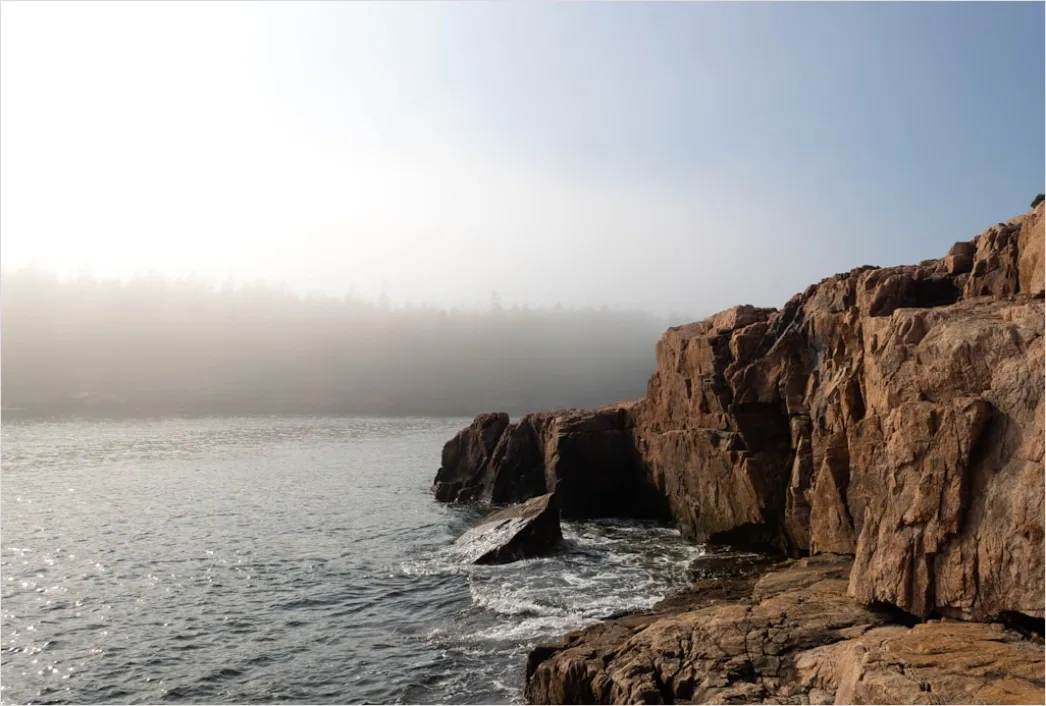 Detail Acadia National Park Rocky Coast Number 7