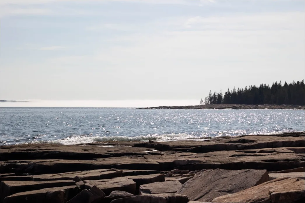 Detail Acadia National Park Rocky Coast Number 8