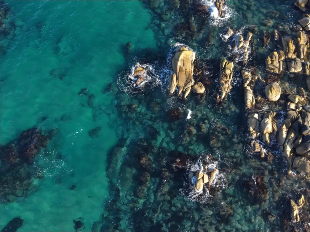 Detail Aerial Rocky Coast Number 18