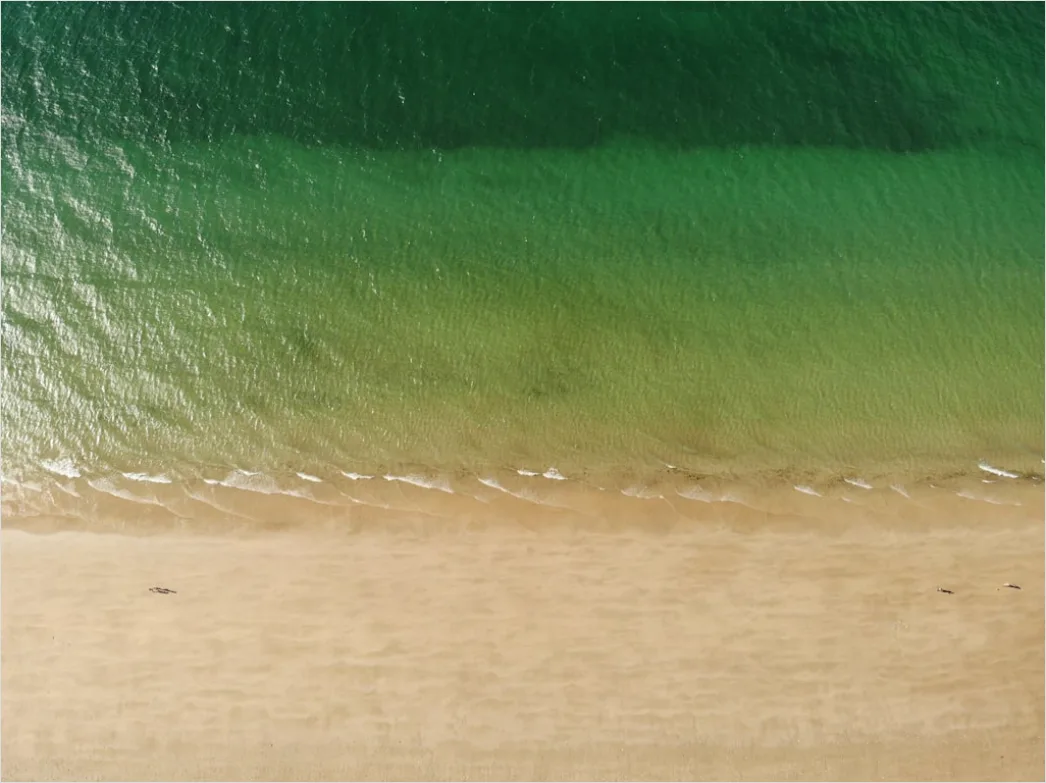 Detail Aerial Sea Foam Texture Number 14