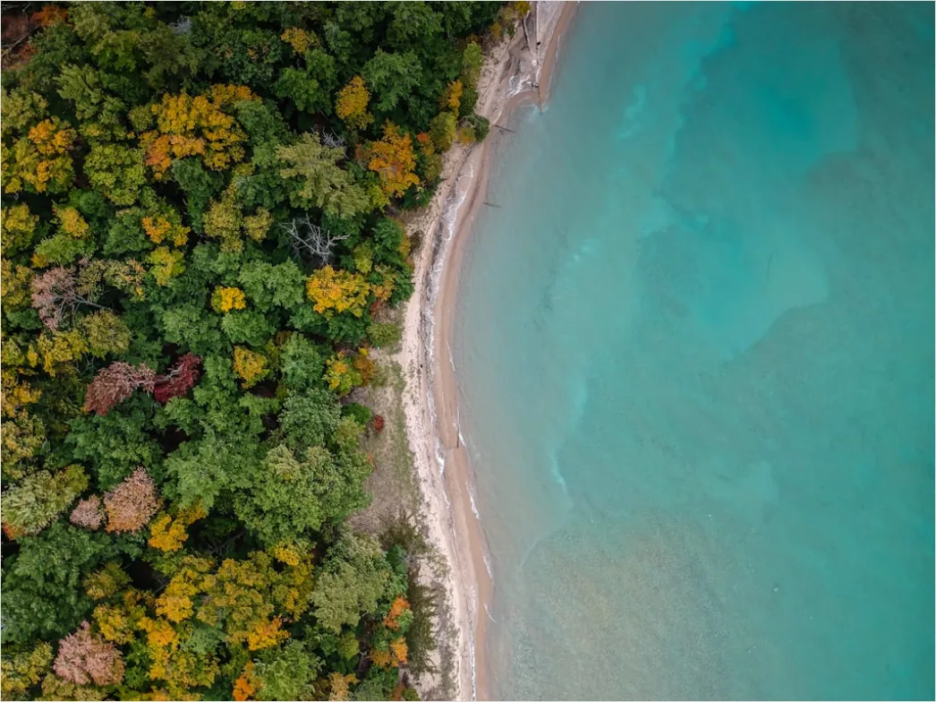 Detail Aerial Shoreline From Above Number 2