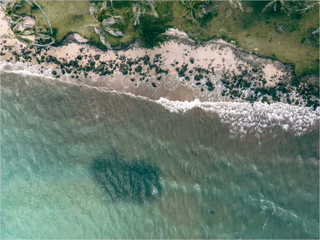 Detail Aerial Shoreline From Above Number 11