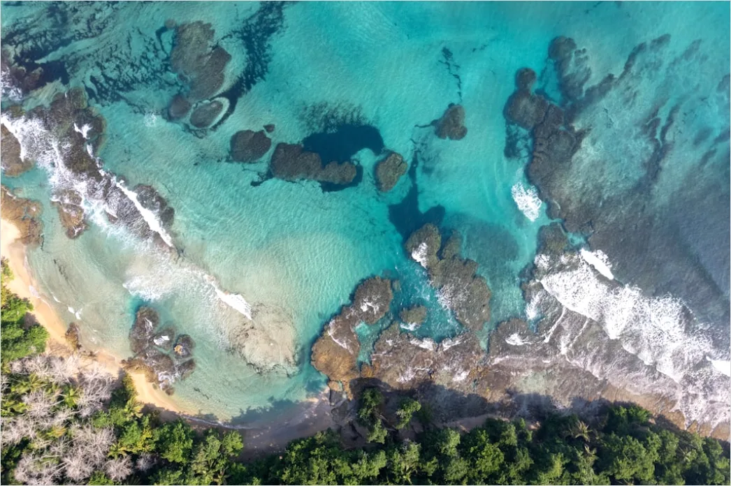 Detail Aerial Shoreline From Above Number 14
