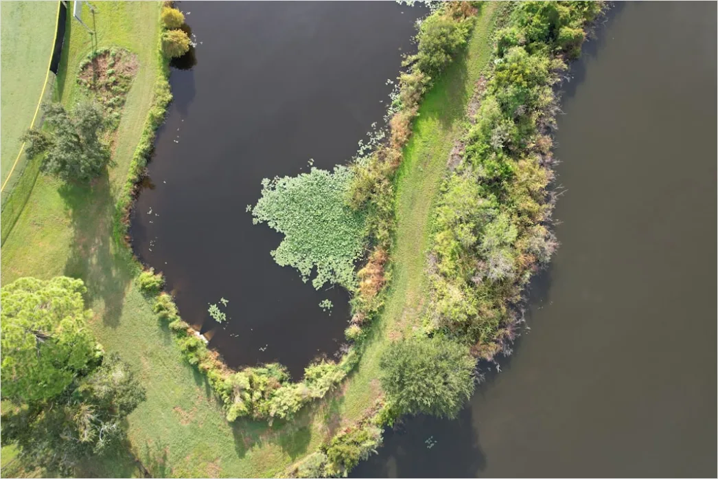 Detail Aerial Shoreline From Above Number 18